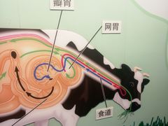 -君乐宝优致牧场