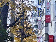 -秋叶原电器街