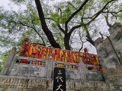 -大槐树寻根祭祖园