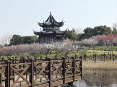 -上海海湾国家森林公园