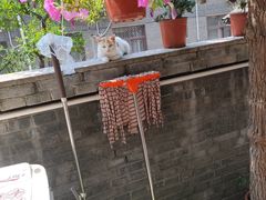 -何适山庄 ·可团建(水长城P2停车场店)