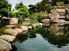 -中国唐苑
