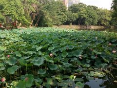 -西南交通大学(九里校区)