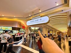 -澳门威尼斯人综合度假区