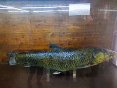 -南京金牛湖风景区