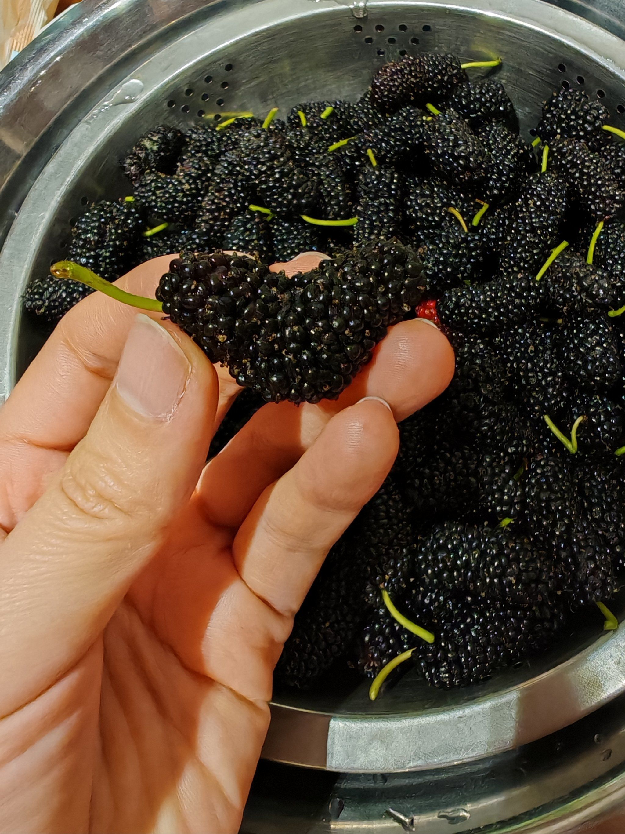 爱心桑椹!好甜!