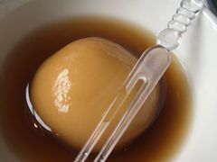 -凤凰湘语(浦东旗舰店)