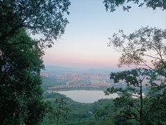 -风云岭森林公园