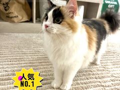-瑞派申生动物医院·24H夜诊·国际动物医疗中心·骨外科(吴中路店)