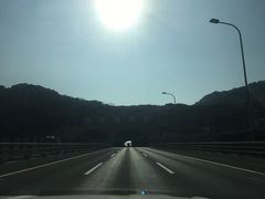 -洋山深水港