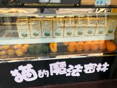 -猫的魔法密林(衣裳街店)