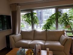 -精德口腔·种植修复·儿牙中心(财富中心店)
