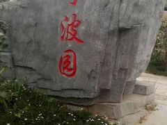 -武清南湖绿博园