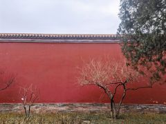 -北京市劳动人民文化宫(太庙)