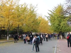 -辽宁大学(崇山校区)