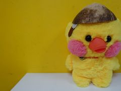 -志龙皇冠吃货椰子铺