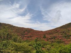 -大围山国家森林公园