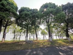 -滆湖低碳生态公园