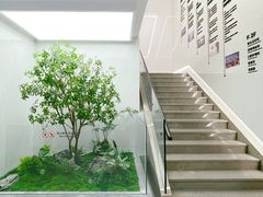 -深圳麦芽口腔医院(罗湖总院)