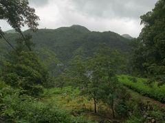 -藏龙百瀑风景区