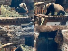 -辛玛王国游乐园