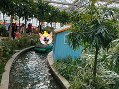 -南宫五洲植物乐园