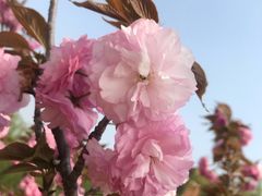 -济南国际园博园