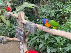 -南宫五洲植物乐园