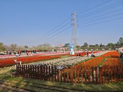 -盈香心动乐园