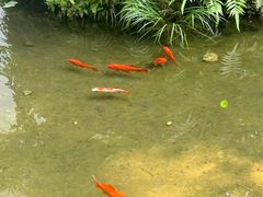 -成都杜甫草堂博物馆