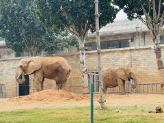 -石家庄市动物园