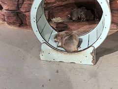 -正佳雨林生态植物园