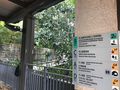 -东望洋炮台东望洋灯塔