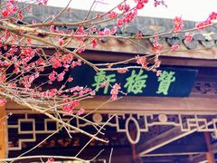 -杭州植物园