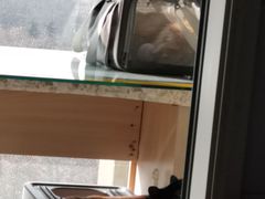 -贝康宠物医院·犬猫全科·小动物特色诊疗中心(东环路店)