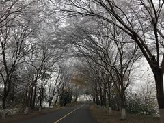 -天目湖涵田半山温泉