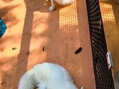 -南戴河国际娱乐中心