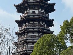-洋湖国家湿地公园