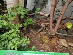 -正佳雨林生态植物园