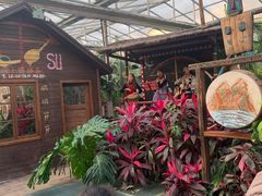 -呀路古热带植物园