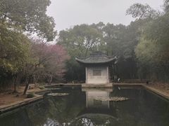 -兰亭风景区