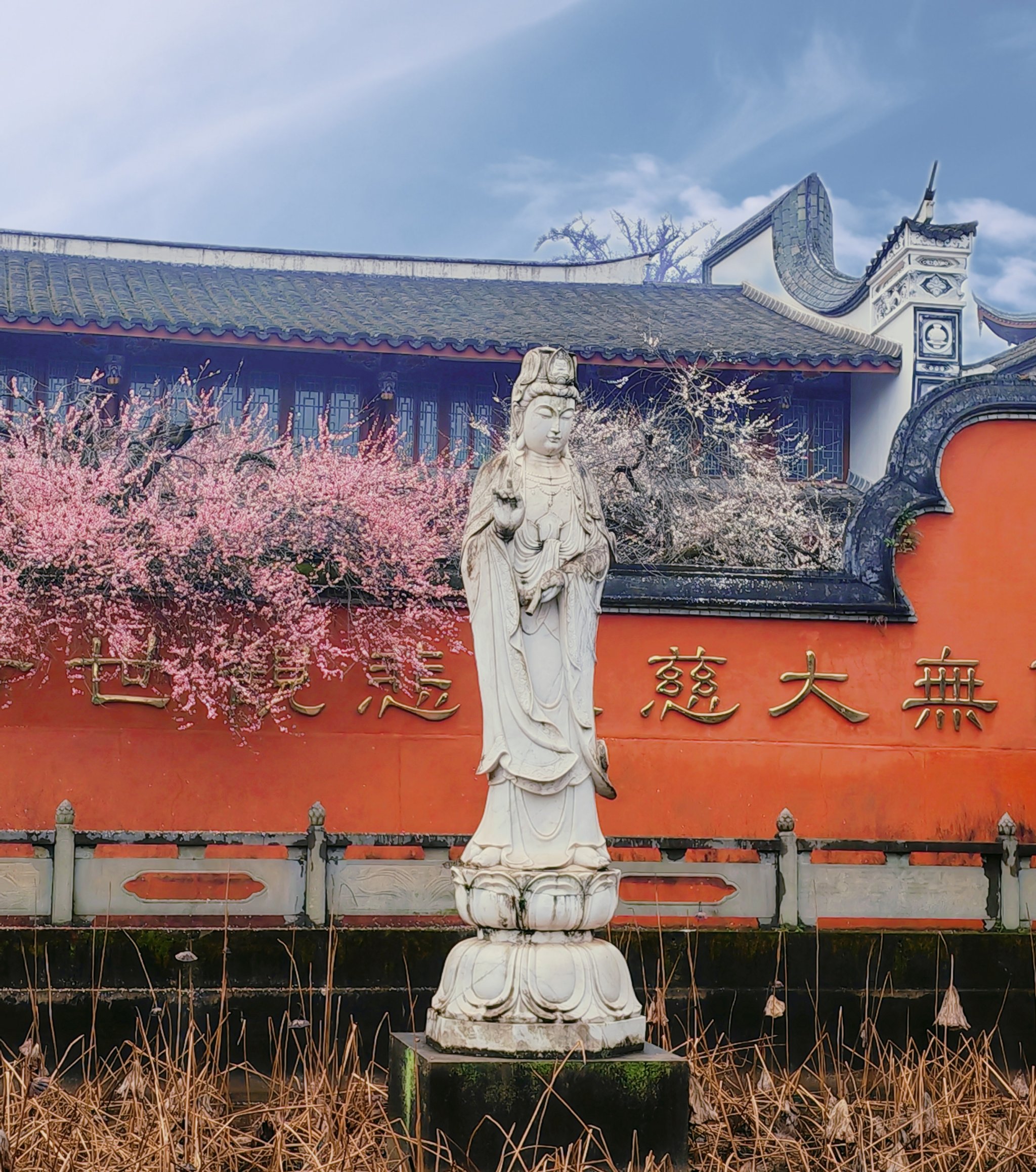 林阳禅寺路况图片