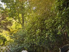 -麦积山温泉