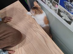 -芭比堂动物医院(广州爱宠下渡路分院)