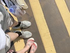 -广东惠东海龟国家级自然保护区