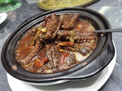 -丁老爷子苏香圆