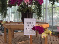 -上海鲜花港