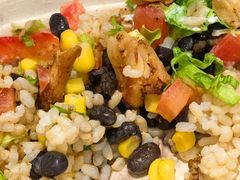 -油梨树 AVOCADO TREE(亮马桥店)