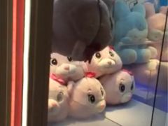 -汤姆熊欢乐世界(滨江店)