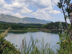 -仙岛湖旅游风景区